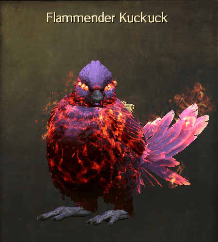 Flammender Kuckuck