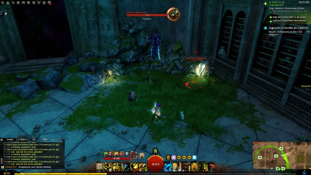 Fünfte Spinnengruppe