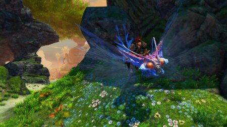 Pirat auf Schweberochen