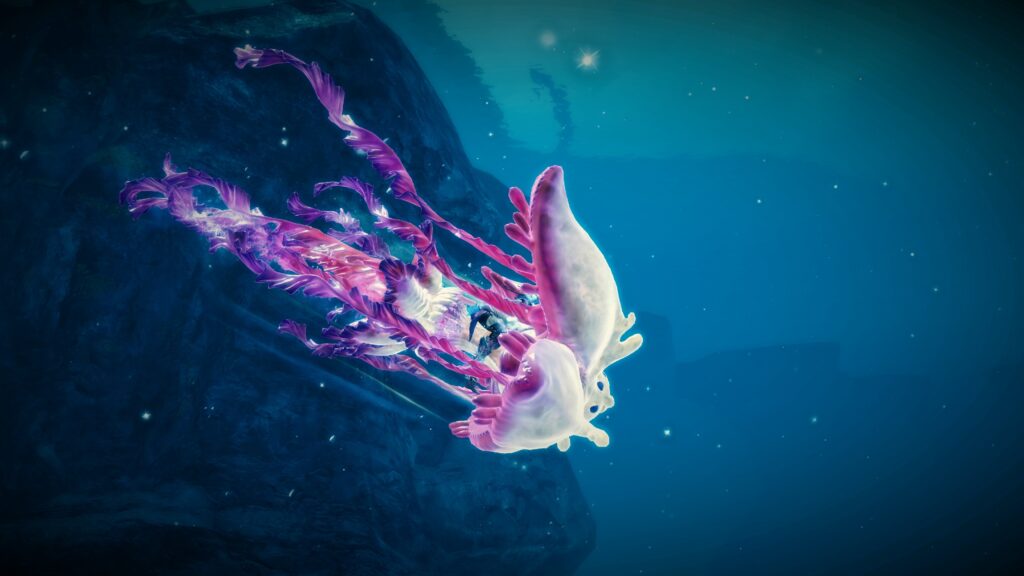 Quallen-Schweberochen unter Wasser