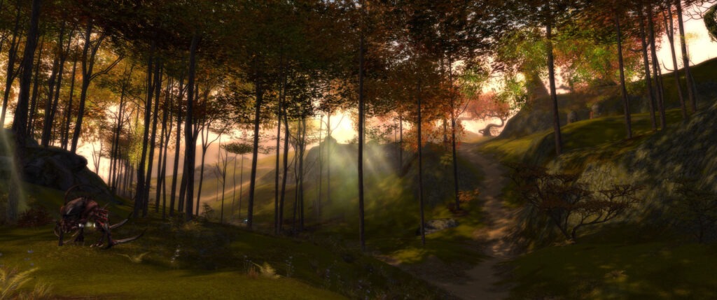 Lichtdurchfluteter Wald