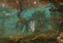 Castoraranken in einer Bucht