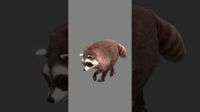 Jimothy